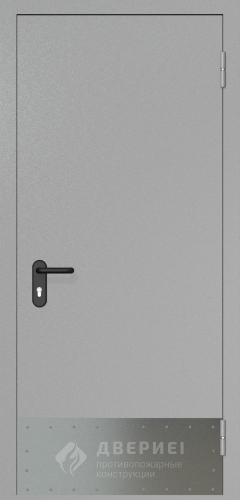 Противопожарная дверь с выпадающим порогом EI-30 с отбойником №5