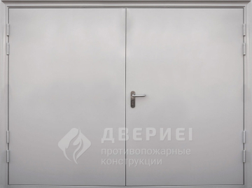 Огнестойкие распашные ворота №2